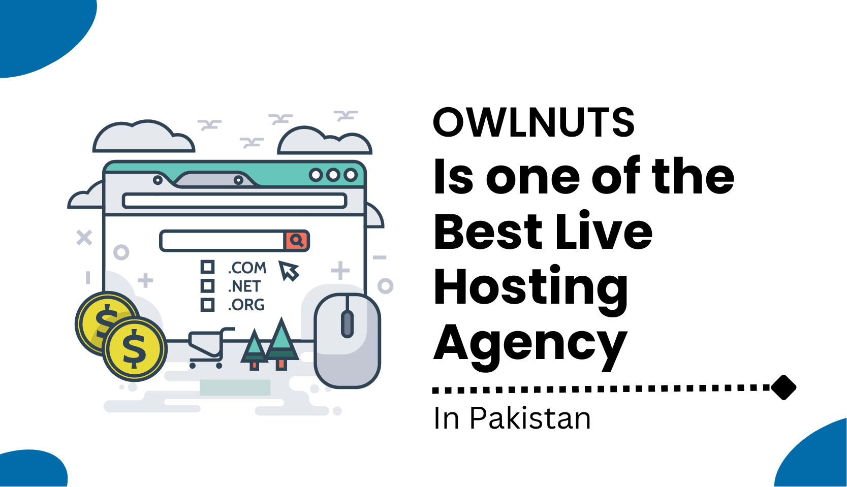 Best live hosting agency